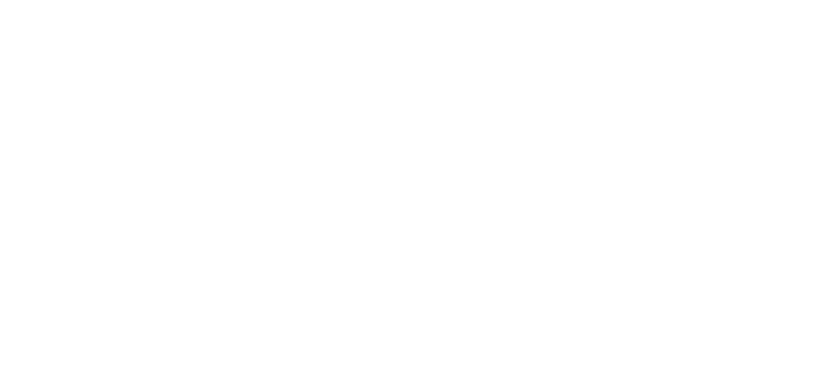 Academy of Business Studies by Leon Fambeck